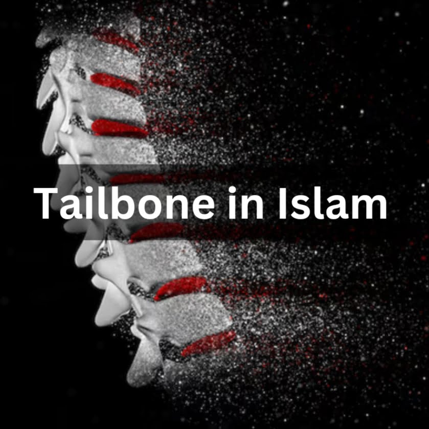 Tailbone in Islam