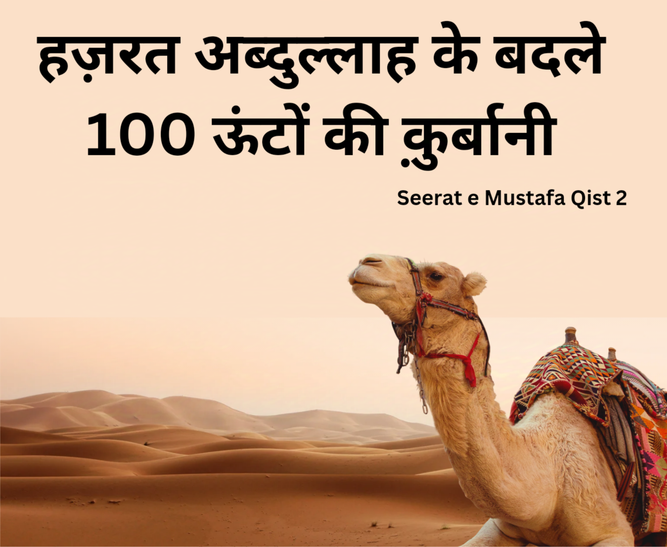 Seerat e Mustafa